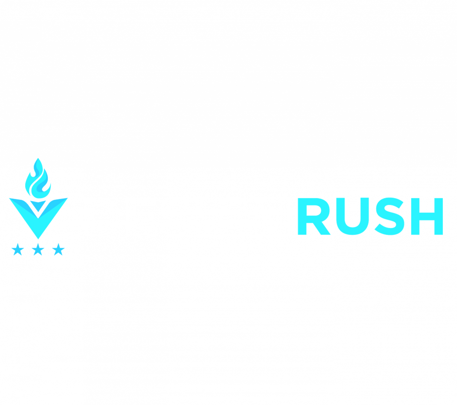DesignRush Small Business Branding